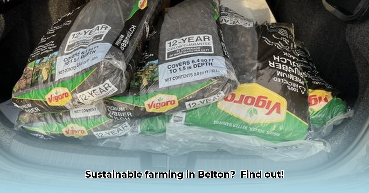 tractor-supply-belton-missouri